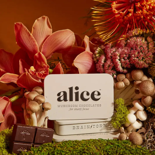 Alice Mushrooms - Mushroom Chocolate - Brainstorm