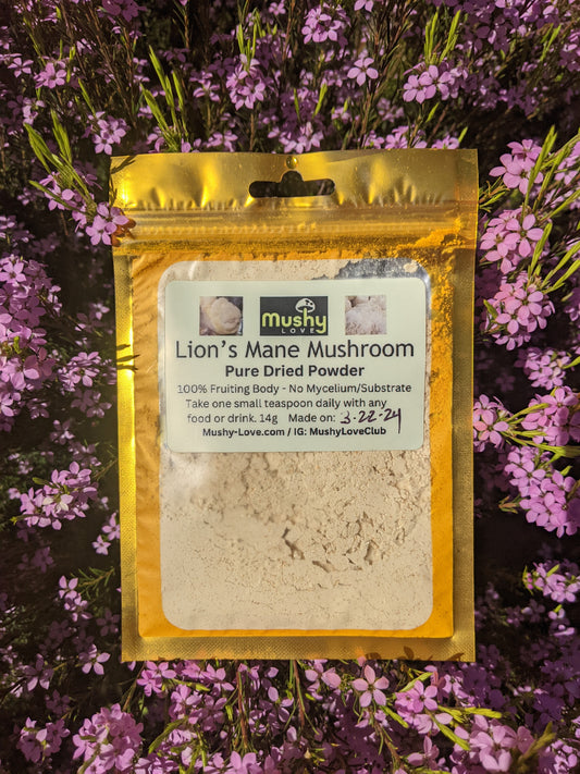 Lions Mane Mushroom Powder